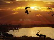 Residential Plot in Lakshmanpura for resale Ahmedabad....