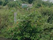 Residential Plot in Lal Bahadur Shastri Nagar for resale...