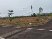 Residential Plot in Lankela Palem for resale...