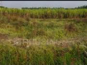 Residential Plot in Lapkaman for resale Ahmedabad. The...