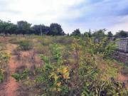 Residential Plot in Maheshwaram for resale Hyderabad....