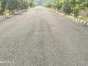 Residential Plot in Mamidilova for resale Visakhapatnam....