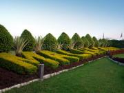 Residential Plot in Manglia for resale AB Bypass Road....