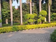 Residential Plot in Manglia for resale AB Bypass Road....