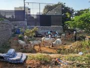 Residential Plot in Manikonda for resale Hyderabad. The...