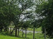 Residential Plot in Manor for resale Mumbai. The...