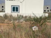 Residential Plot in Marasandra Plantation for resale...