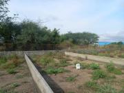 Residential Plot in Marunji for resale Pune. The...