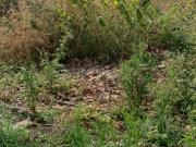 Residential Plot in Mayakhedi for resale Indore. The...