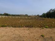 Residential Plot in Mhasrul Gaon for resale Nashik. The...