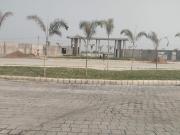 Residential Plot in Mihan for resale Nagpur. The...