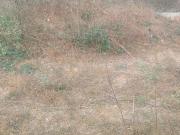 Residential Plot in Modipuram for resale Meerut. The...