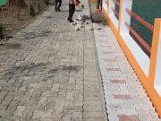 Residential Plot in Mohanlalganj for resale Lucknow. The...