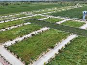 Residential Plot in Muneshwara Nagar for resale...