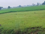 Residential Plot in Naubatpur for resale Patna. The...