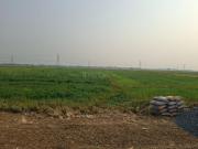 Residential Plot in Naubatpur for resale Patna. The...
