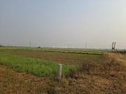 Residential Plot in Naubatpur for resale Patna. The...