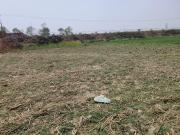 Residential Plot in Naubatpur for resale Patna. The...