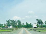 Residential Plot in Naya Raipur for resale Raipur. The...