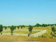 Residential Plot in Naya Raipur for resale Raipur. The...