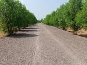 Residential Plot in Naya Raipur for resale Raipur. The...