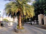 Residential Plot in Nayta Mundla for resale AB Bypass...