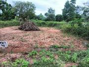 Residential Plot in Nelamangala for resale Bangalore....