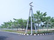 Residential Plot in Nerellavalasa for resale...