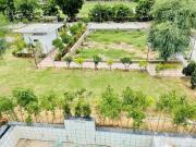 Residential Plot in Nevta Village for resale Jaipur. The...