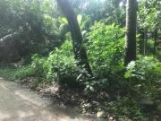 Residential Plot in New Barrakpur for resale Kolkata....