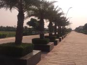 Residential Plot in New Chandigarh for resale...