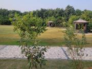 Residential Plot in New Chandigarh for resale...