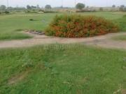 Residential Plot in New Chandigarh for resale...