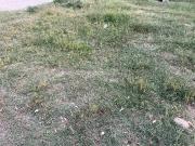 Residential Plot in New Chandigarh for resale...