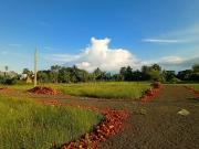 Residential Plot in New Town for resale Kolkata. The...