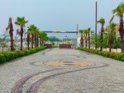 Residential Plot in Nipaniya for resale Dewas. The...