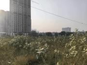 Residential Plot in Noida Extension for resale Greater...