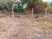 Residential Plot in Ojhar for resale Nashik. The...