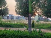 Residential Plot in Old Dhamtari Road for resale Raipur....