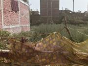 Residential Plot in Om Nagar Colony for resale Varanasi....