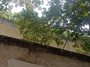 Residential Plot in Omicron III Greater Noida for resale...