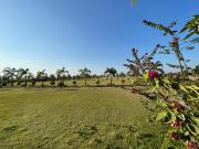 Residential Plot in Pacheda 1 for resale Raipur. The...