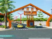 Residential Plot in Pacheda 1 for resale Raipur. The...