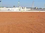 Residential Plot in Palladam for resale Tiruppur. The...