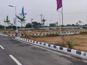 Residential Plot in Palur, KAnchipuram for resale...