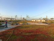 Residential Plot in Panchderiya for resale Indore. The...