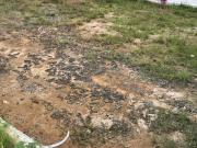 Residential Plot in Pandur for resale Chennai. The...