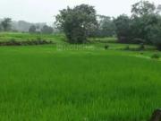 Residential Plot in Panvel for resale Navi Mumbai. The...