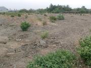 Residential Plot in Panvel for resale Navi Mumbai. The...