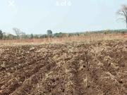 Residential Plot in Panvel for resale Navi Mumbai. The...